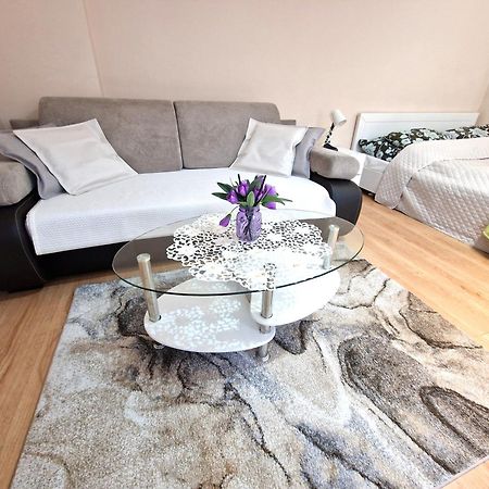 Aparthouse Apartamenty Centrum 索斯诺维茨 外观 照片