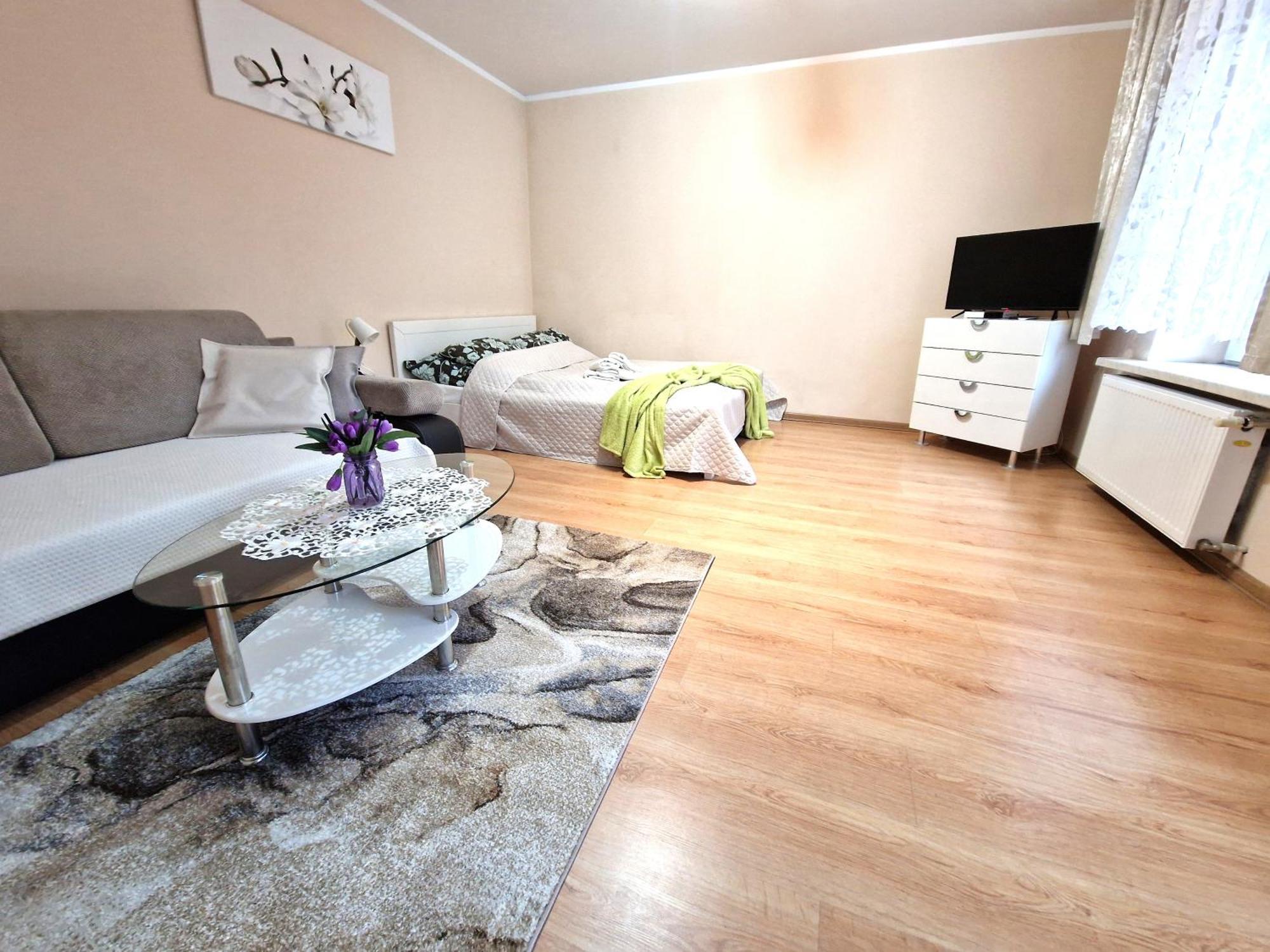 Aparthouse Apartamenty Centrum 索斯诺维茨 外观 照片