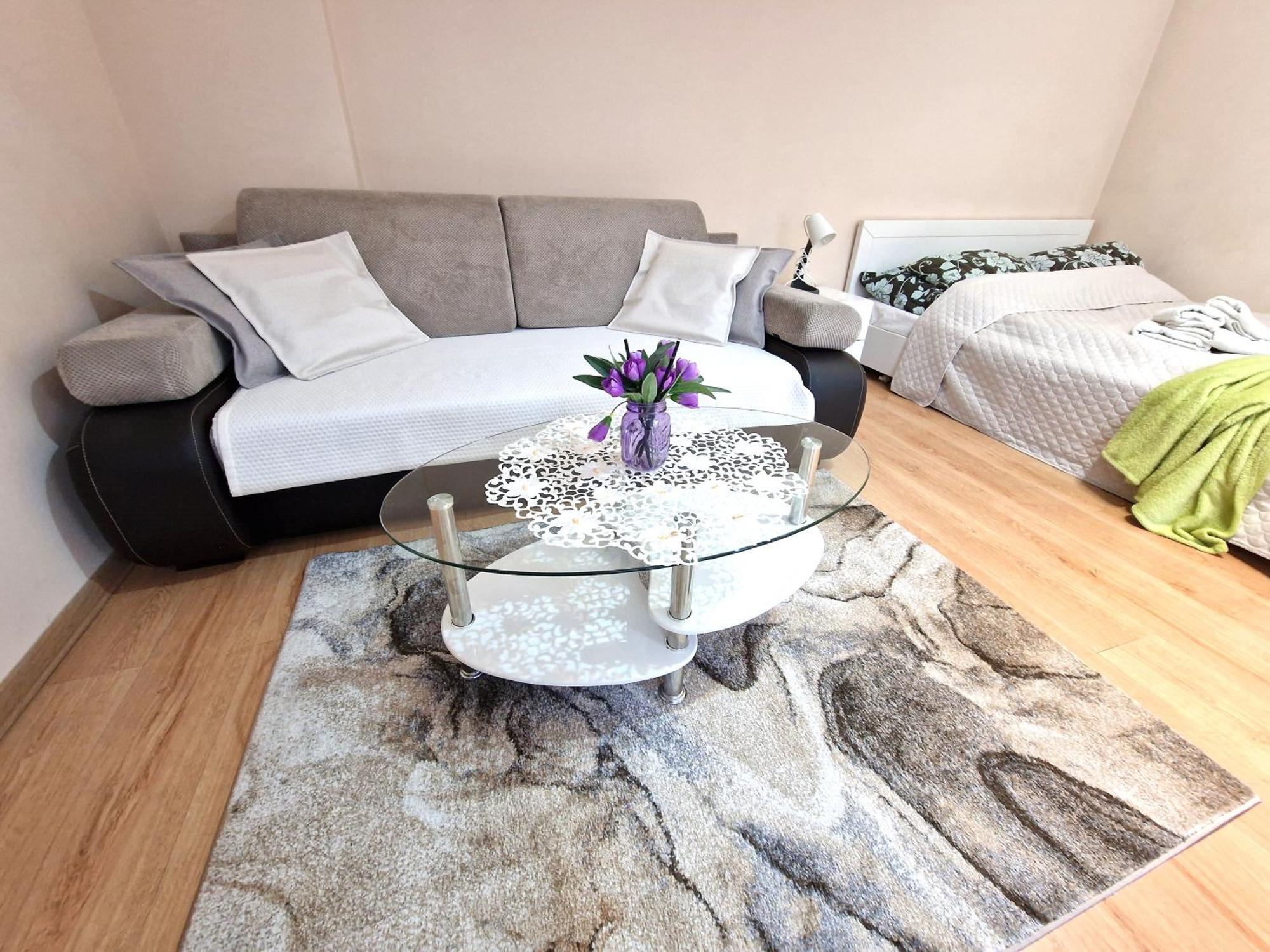 Aparthouse Apartamenty Centrum 索斯诺维茨 外观 照片