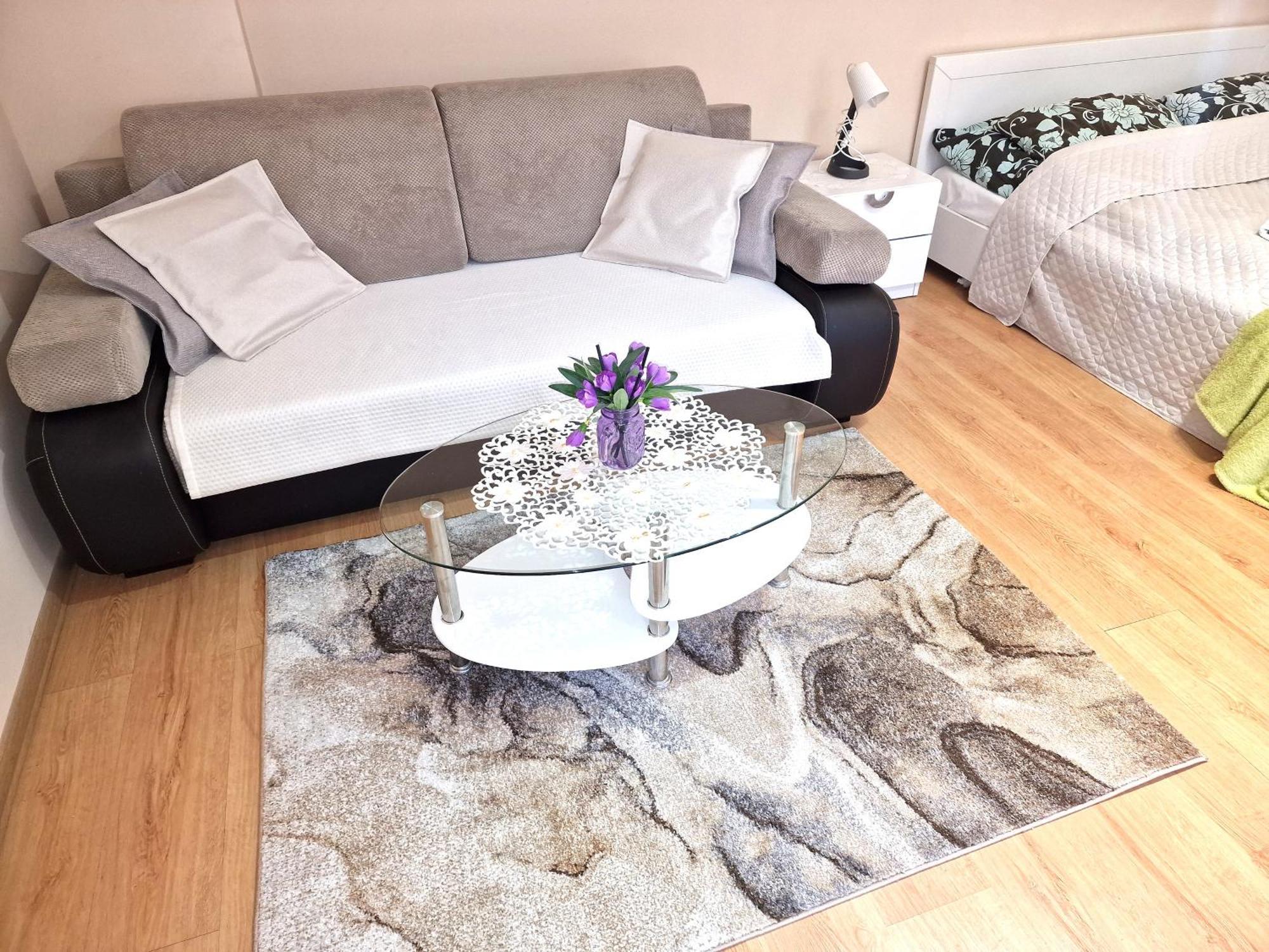 Aparthouse Apartamenty Centrum 索斯诺维茨 外观 照片