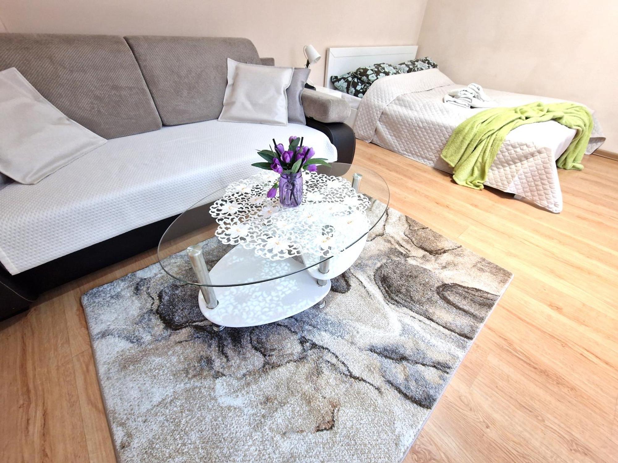 Aparthouse Apartamenty Centrum 索斯诺维茨 外观 照片