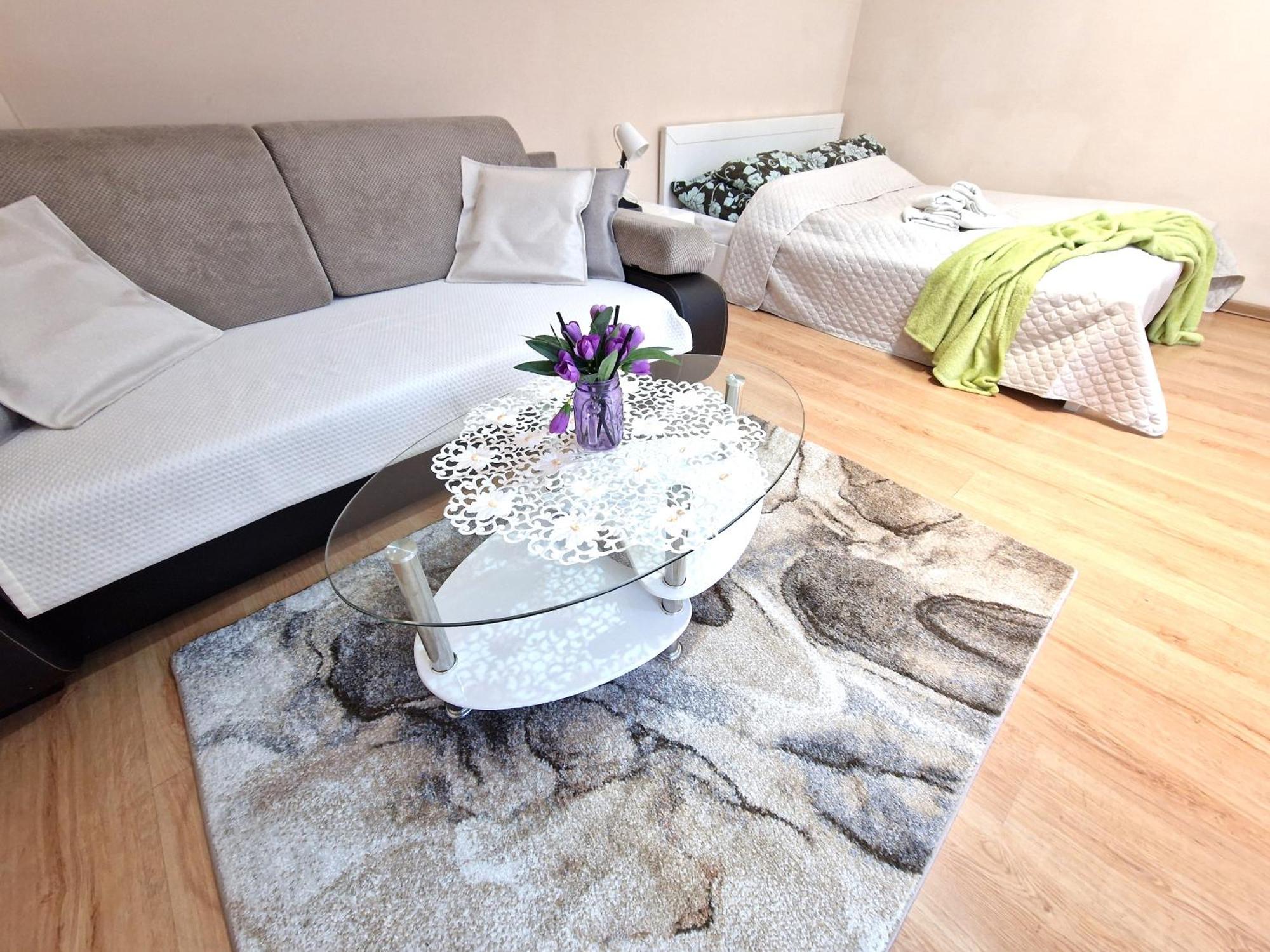 Aparthouse Apartamenty Centrum 索斯诺维茨 外观 照片